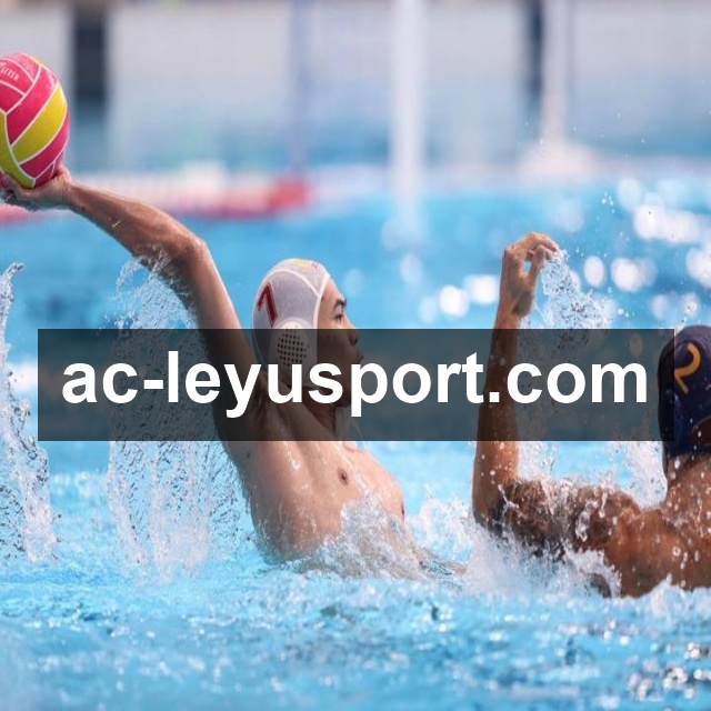 比分赛后说明查询